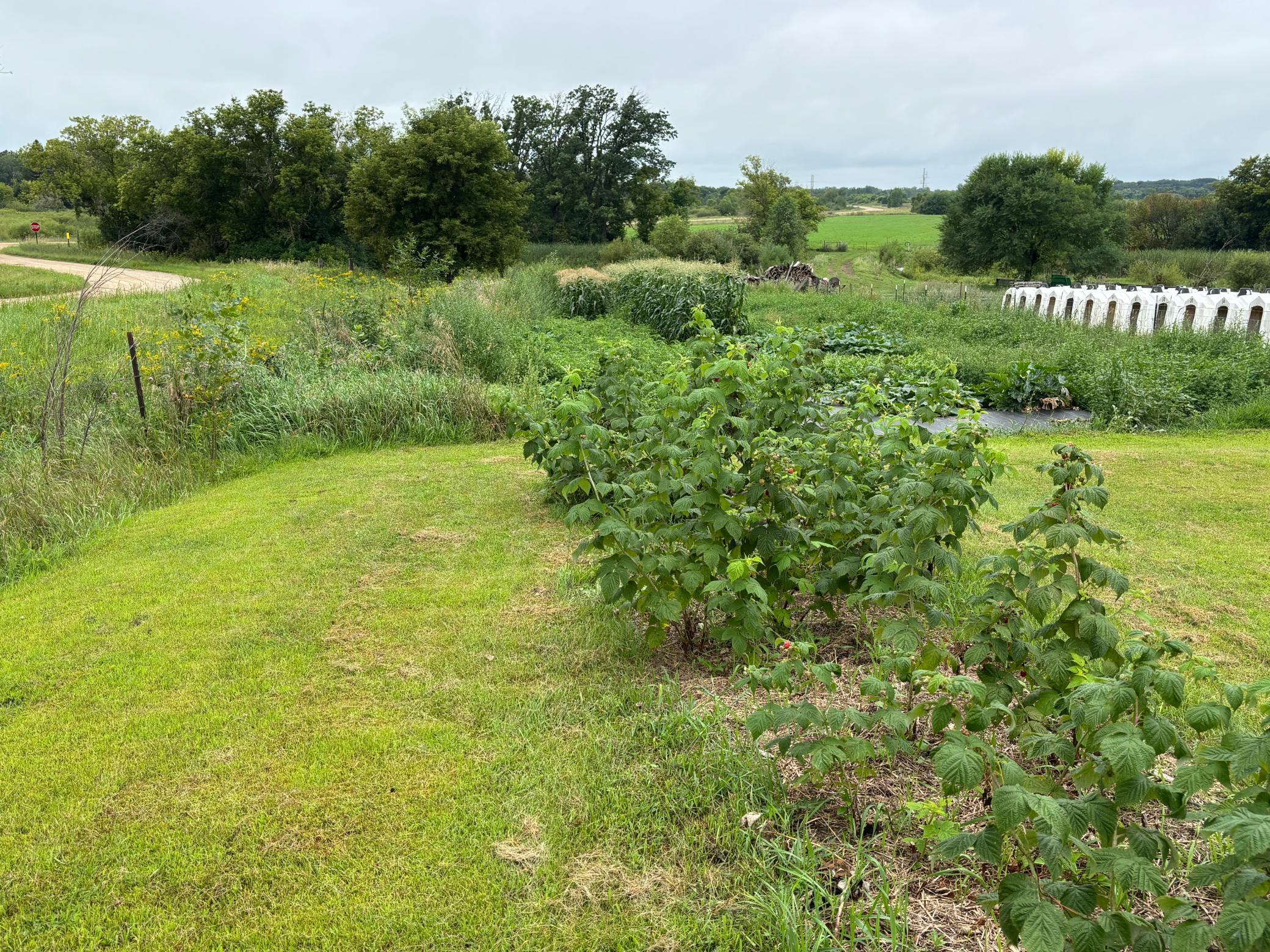 18398 360th Street Eagle Bend, MN 56446 - Photo 25 of 59