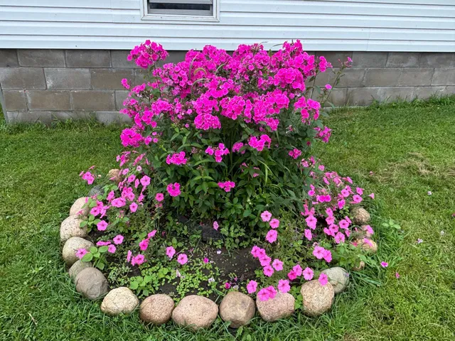 $374,000 | 18398 360th Street, Eagle Bend, MN 56446