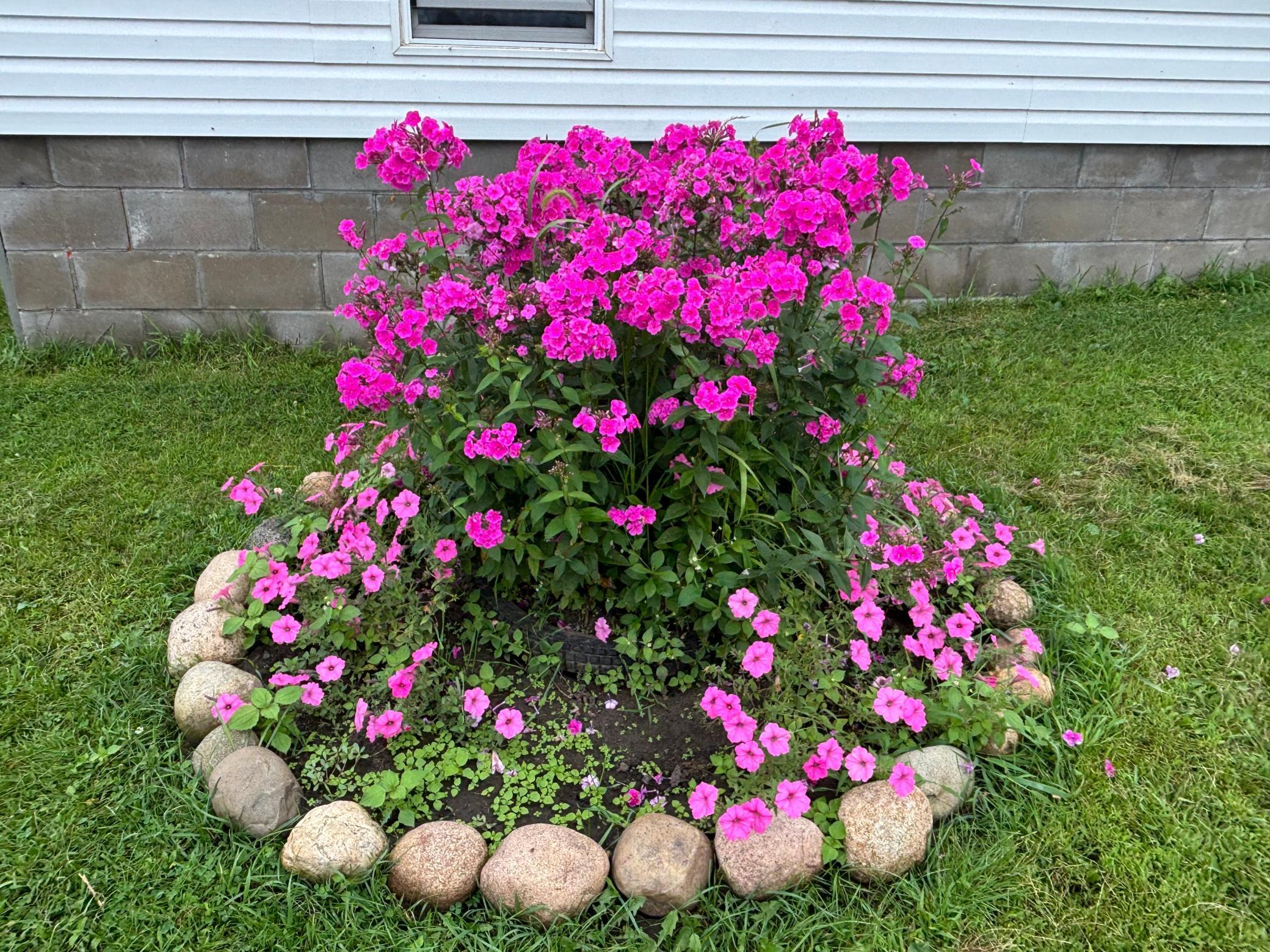 18398 360th Street Eagle Bend, MN 56446 - Photo 27 of 59