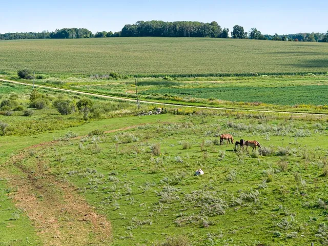 $374,000 | 18398 360th Street, Eagle Bend, MN 56446