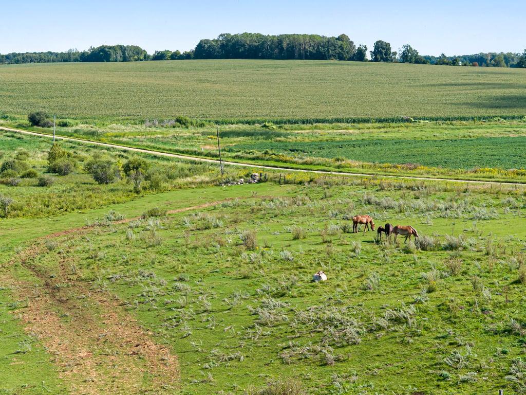 18398 360th Street Eagle Bend, MN 56446 - Photo 53 of 59