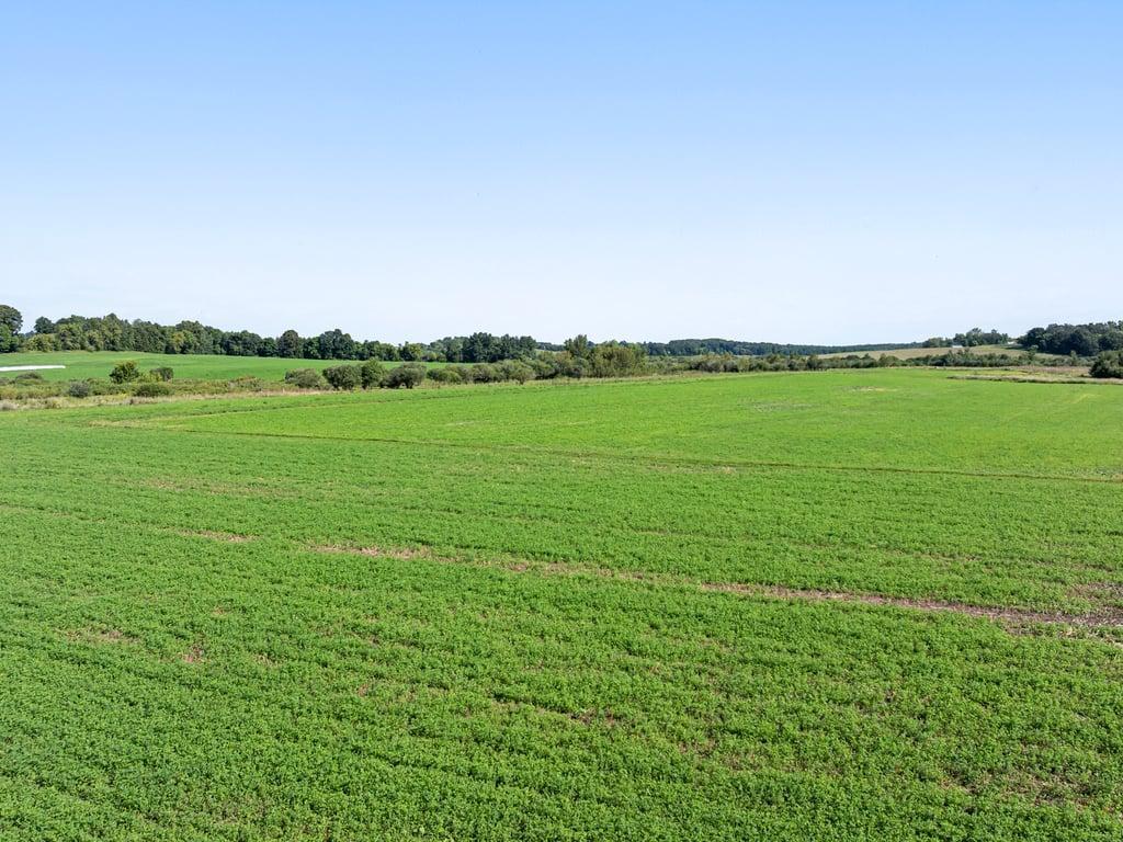 18398 360th Street Eagle Bend, MN 56446 - Photo 56 of 59