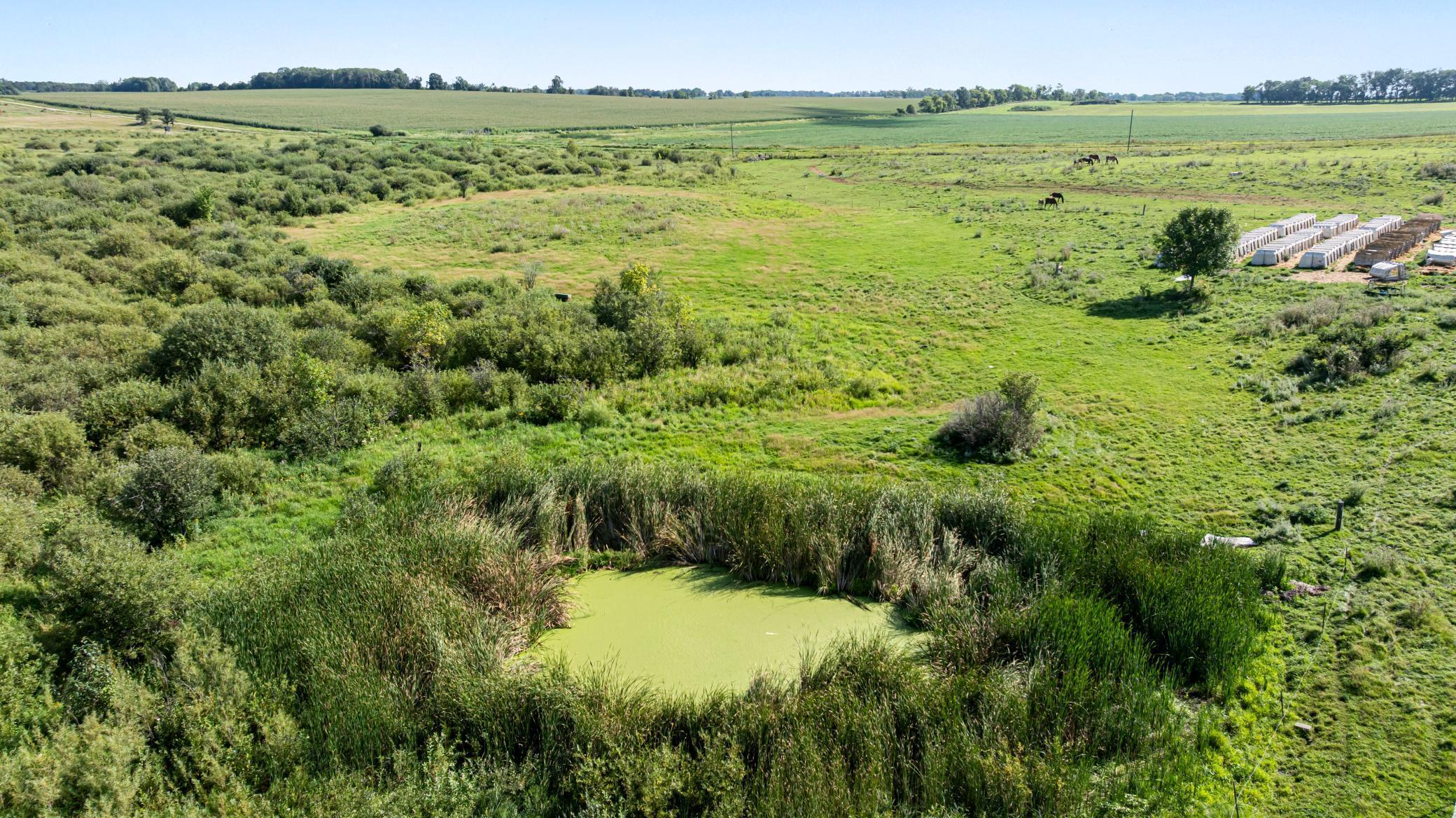 18398 360th Street Eagle Bend, MN 56446 - Photo 8 of 59