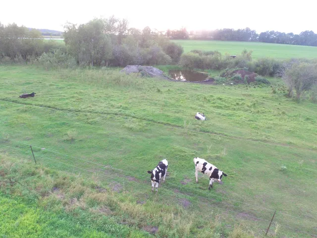 $374,000 | 18398 360th Street, Eagle Bend, MN 56446