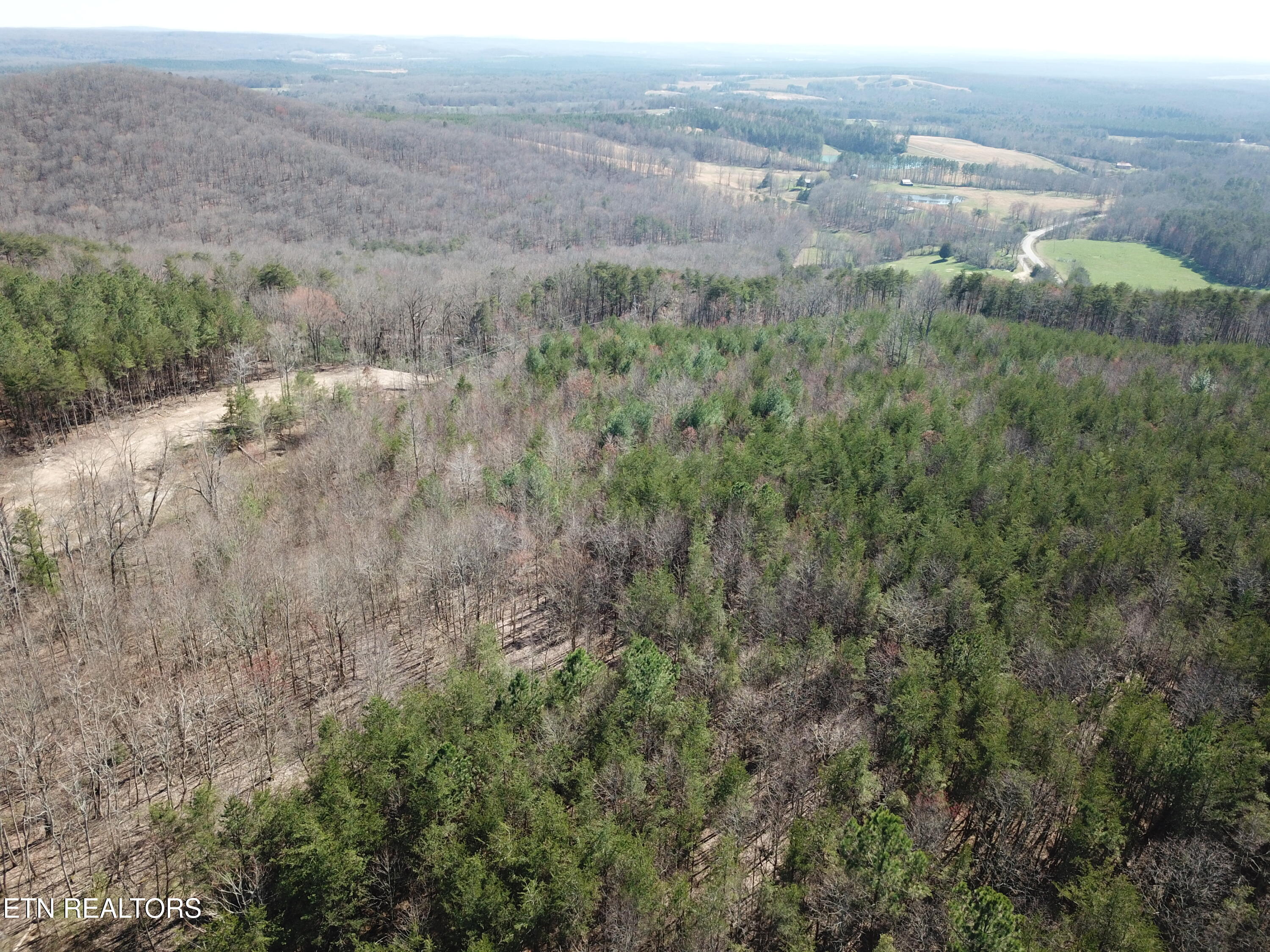 Buckridge Road Crossville, TN 38572 - Photo 7 of 26 DJI_0065