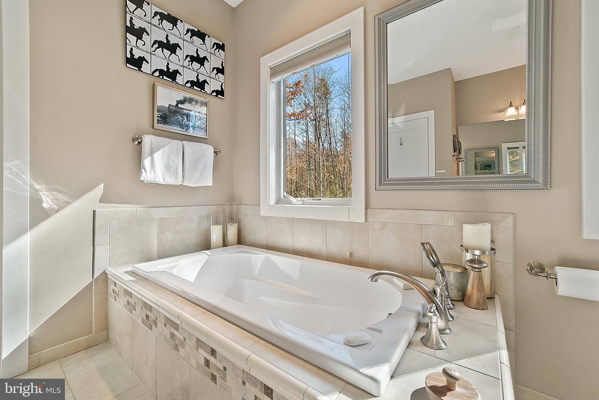 6459 Intervale Road Culpeper, VA 22701 - Photo 22 of 43 Owner's Bubble Massage Air Tub