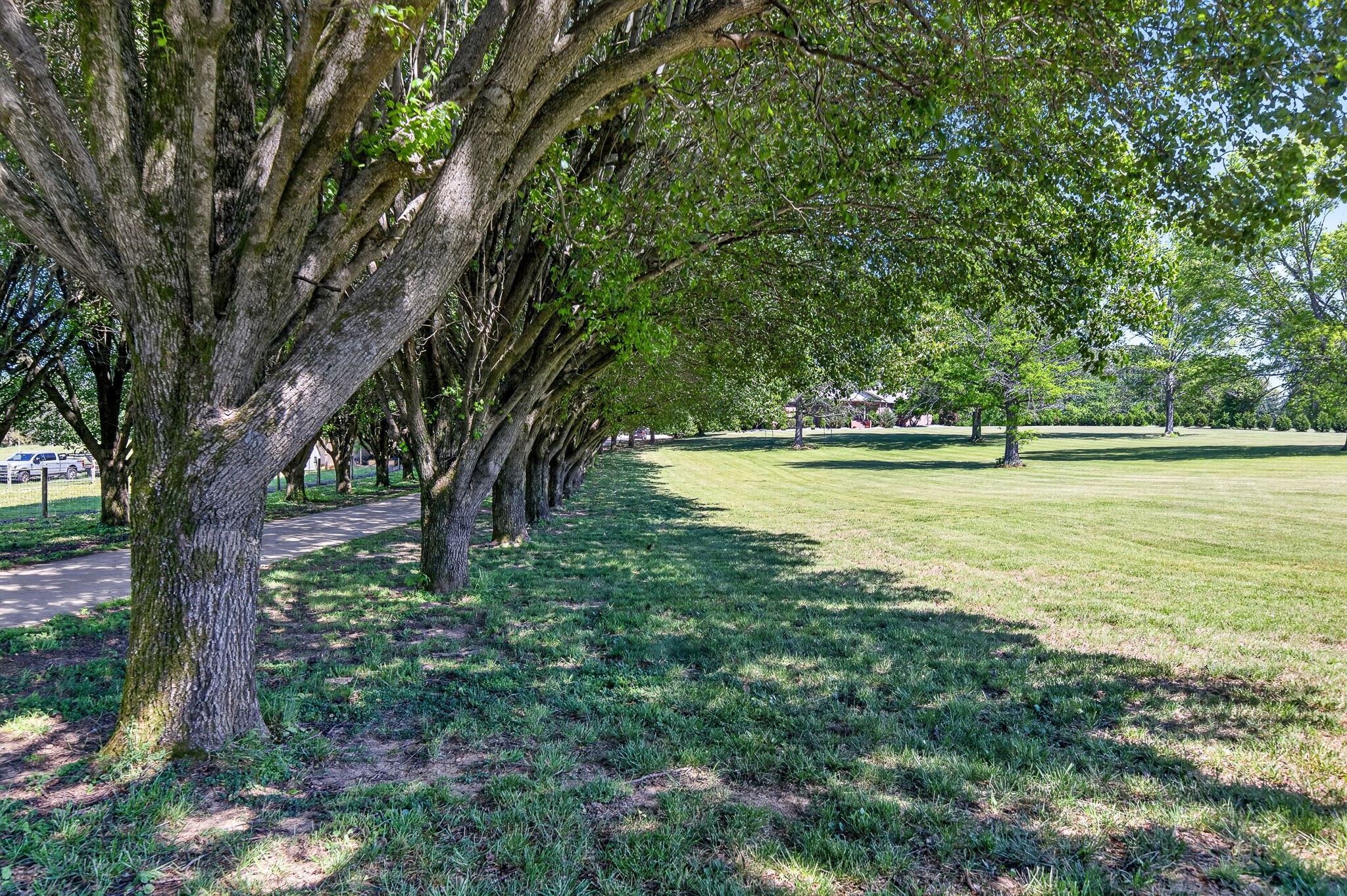 2235 Hidden Cove Road Cookeville, TN 38506 - Photo 18 of 100