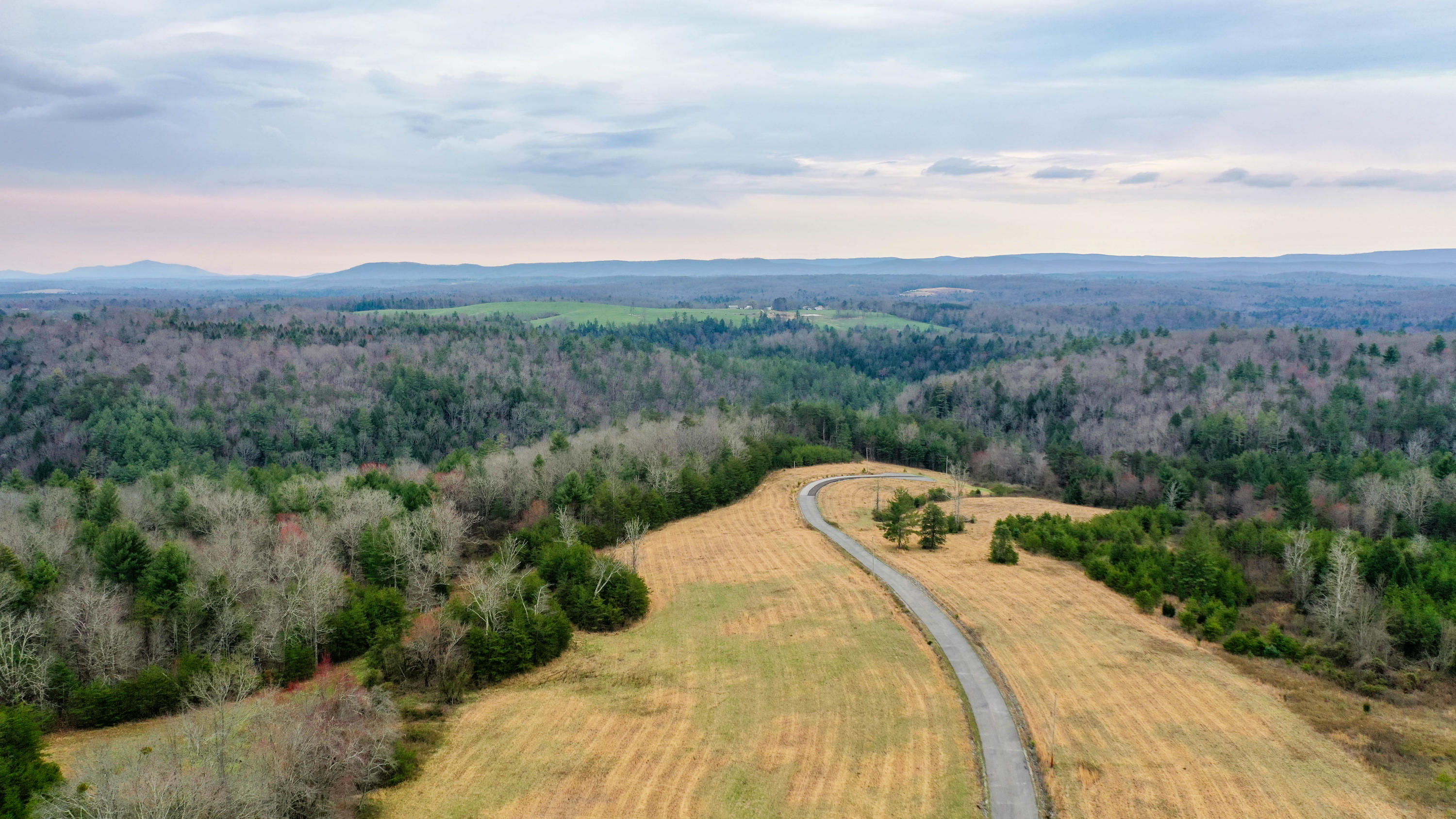 Tn-62 Deer Lodge, TN 37726 - Photo 11 of 12 DJI_0091