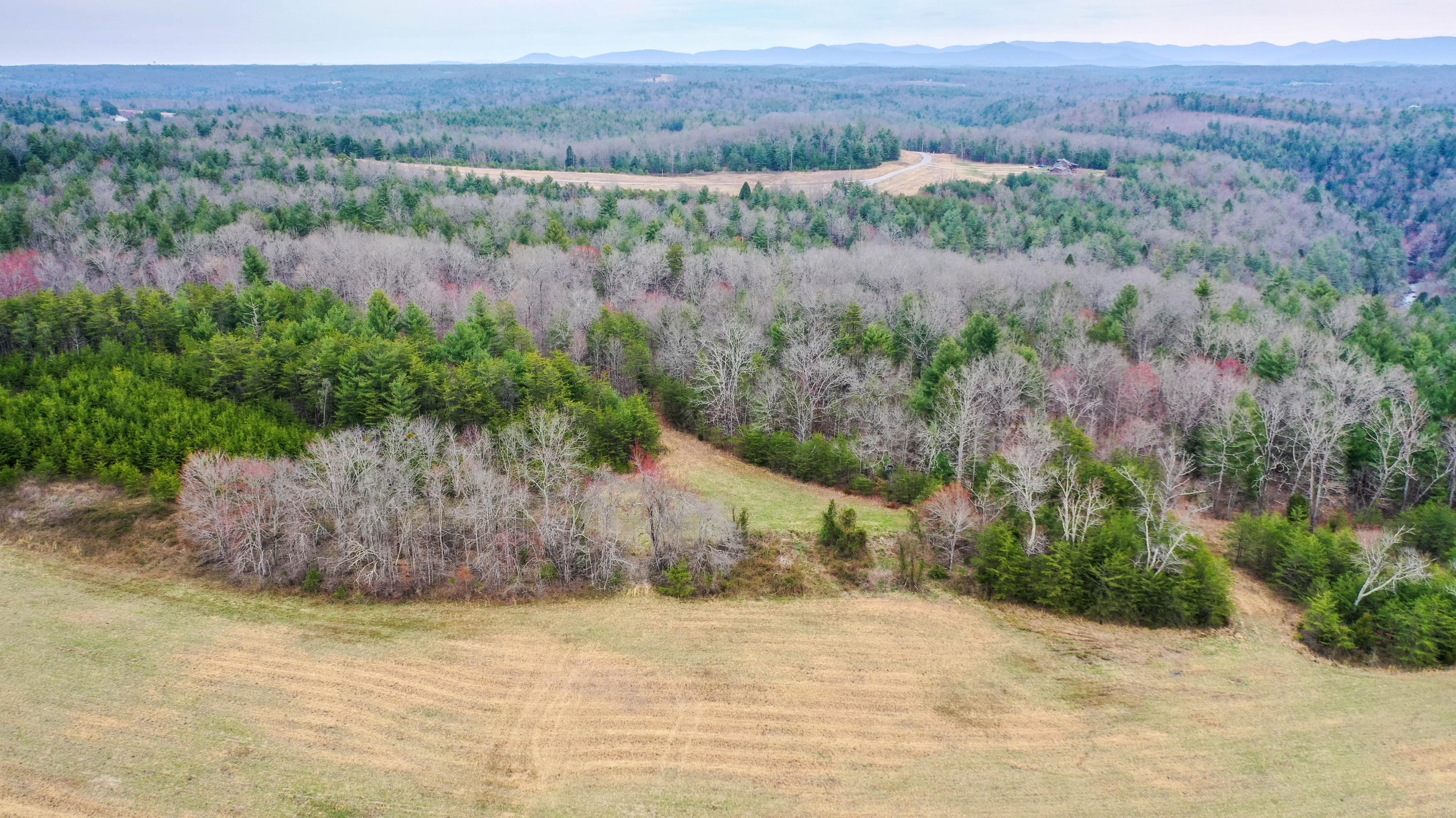 Tn-62 Deer Lodge, TN 37726 - Photo 12 of 12 DJI_0092