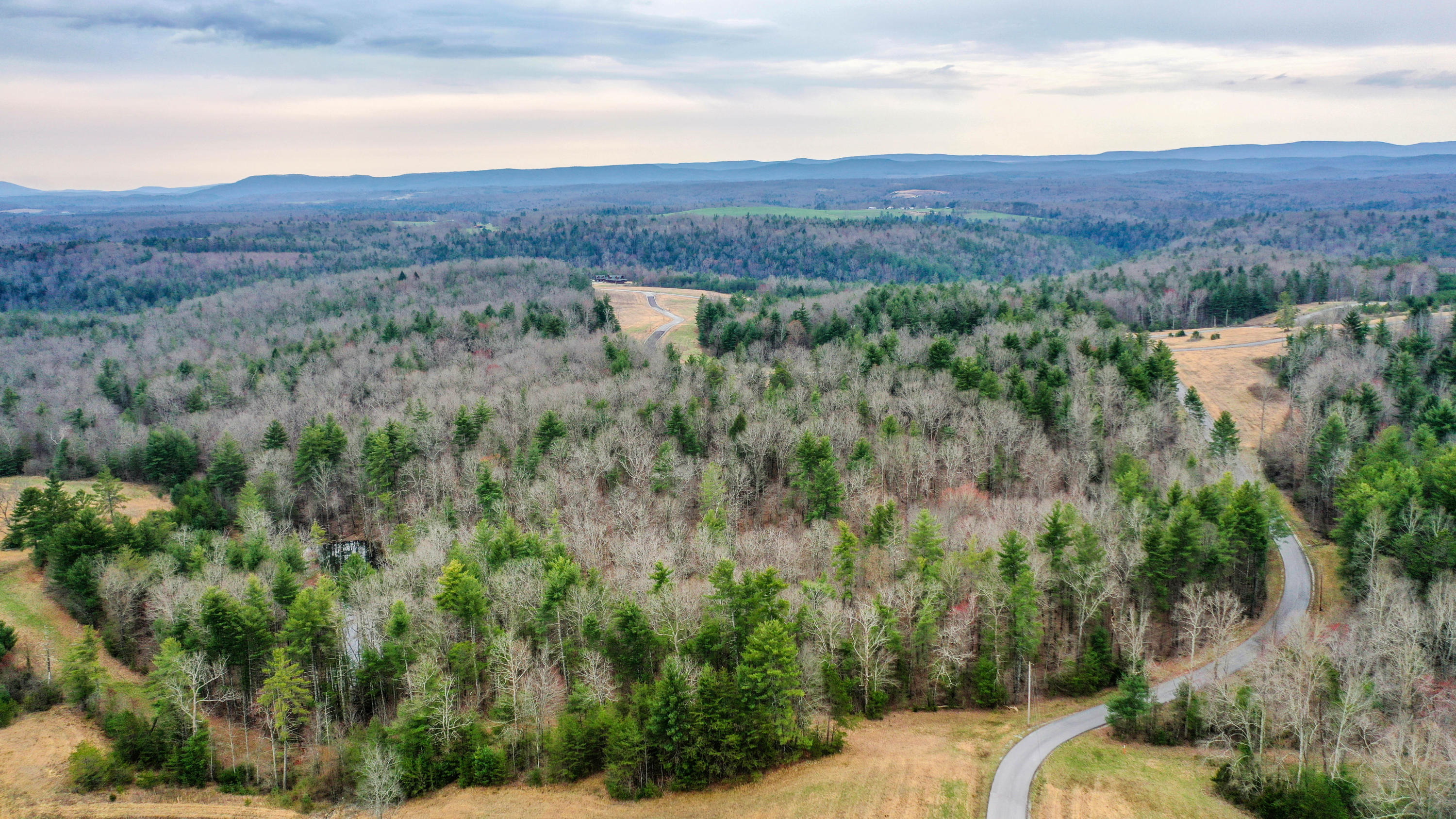 Tn-62 Deer Lodge, TN 37726 - Photo 6 of 12 DJI_0076