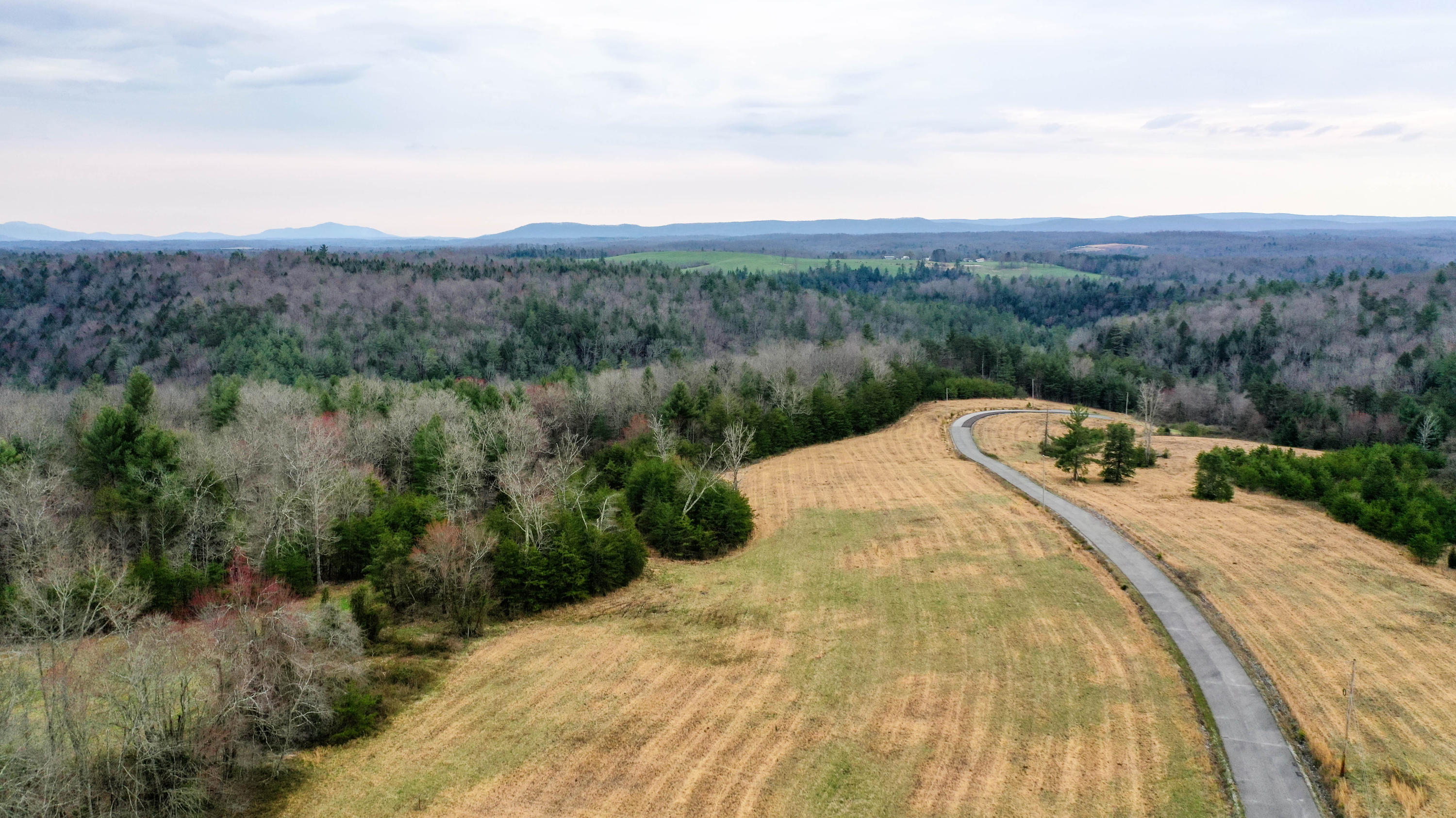 Tn-62 Deer Lodge, TN 37726 - Photo 9 of 12 DJI_0087
