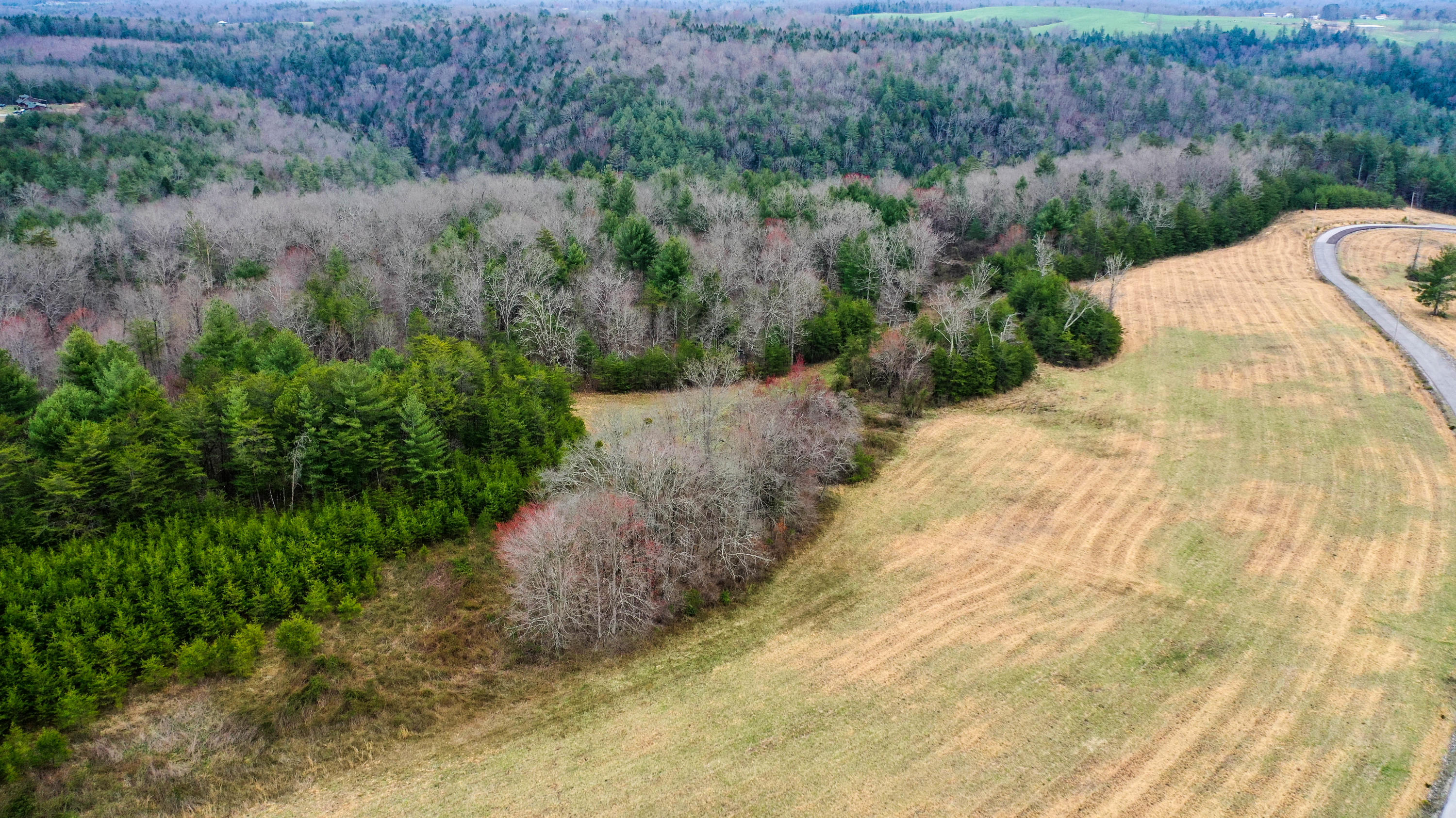 Tn-62 Deer Lodge, TN 37726 - Photo 10 of 12 DJI_0088