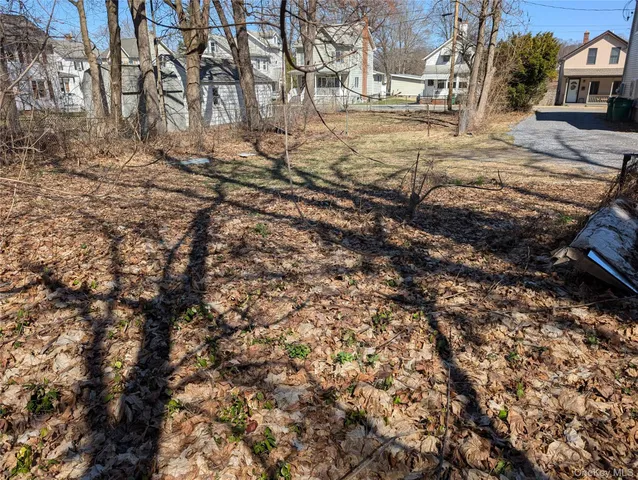 a view of a yard with a tree