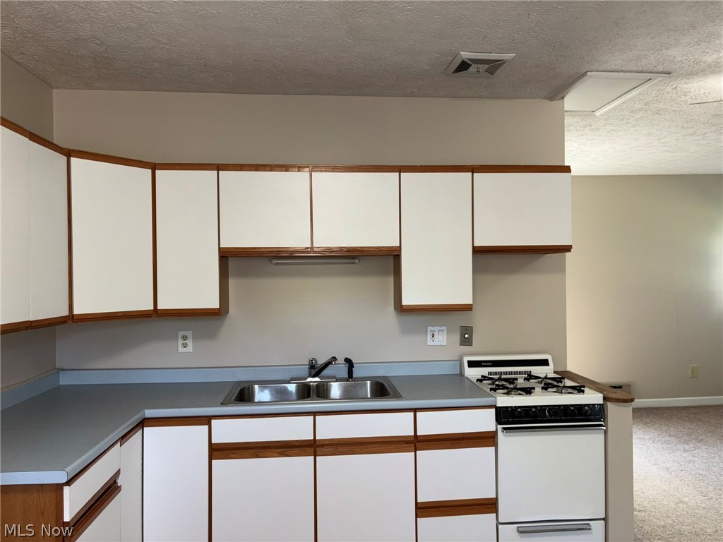 2140 Claus Road Vermilion, OH 44089 - Photo 19 of 50 in-law suite kitchen