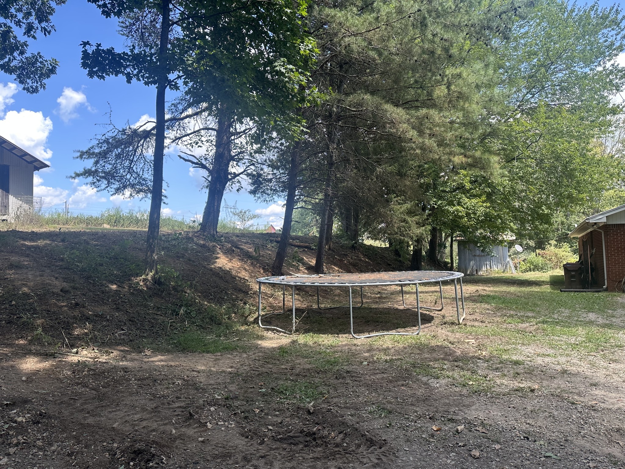 16 Cummings Road Summertown, TN 38483 - Photo 14 of 33 a view of a yard with a tree