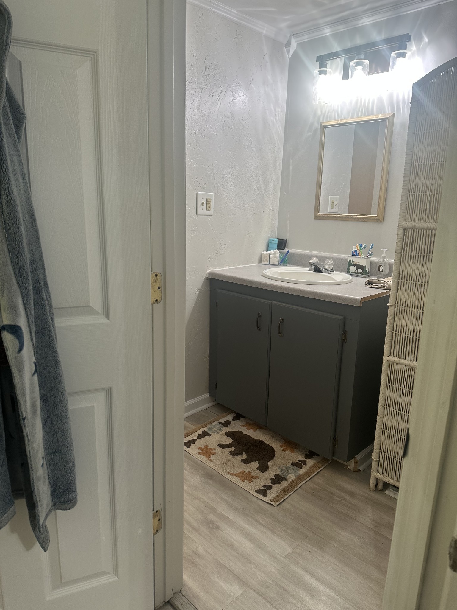 16 Cummings Road Summertown, TN 38483 - Photo 31 of 33 a bathroom with a sink and a mirror