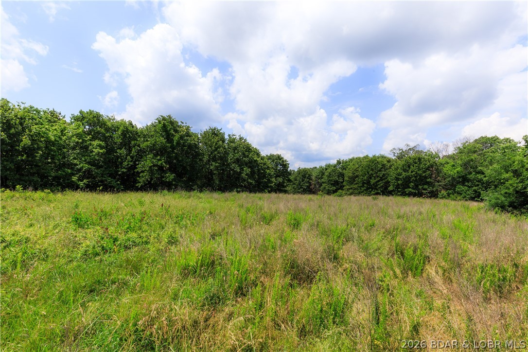 400 Hidden Acres Road Camdenton, MO 65020 - Photo 7 of 39