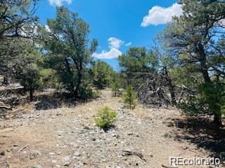 65 Mill Run Mosca, CO 81146 - Photo 4 of 12 a view of a yard with plants and tree
