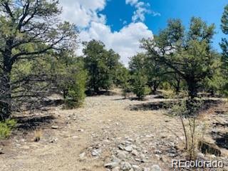 65 Mill Run Mosca, CO 81146 - Photo 5 of 12 a view of fire pit with large trees