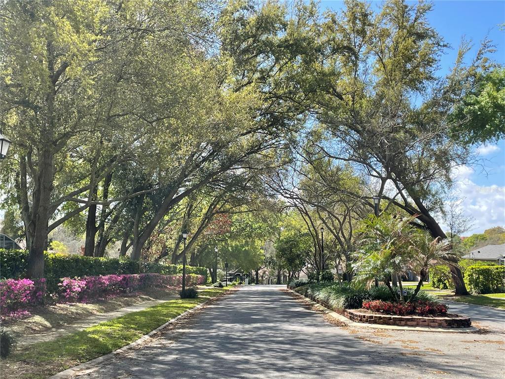 1007 Featherstone Circle Ocoee, FL 34761 - Photo 5 of 29