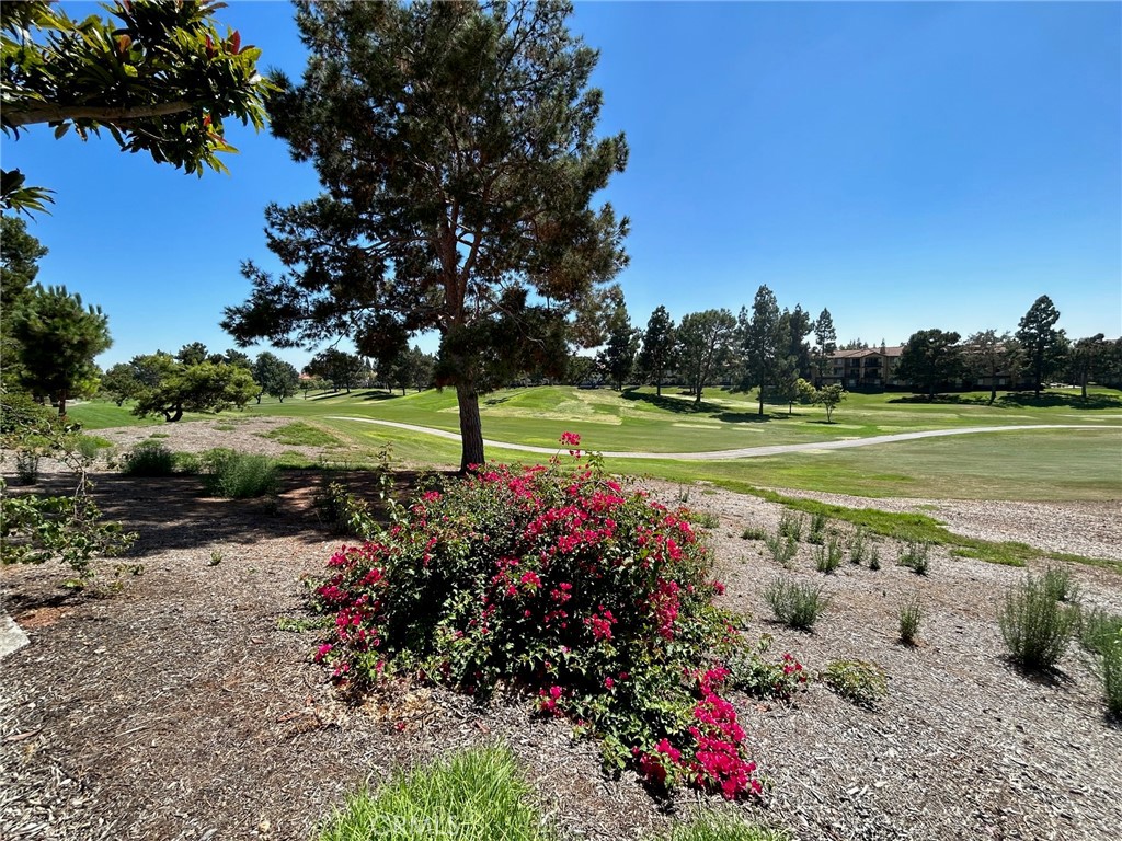 2811 Caponi Place Tustin, CA 92782 - Photo 10 of 50 a view of a park with large trees