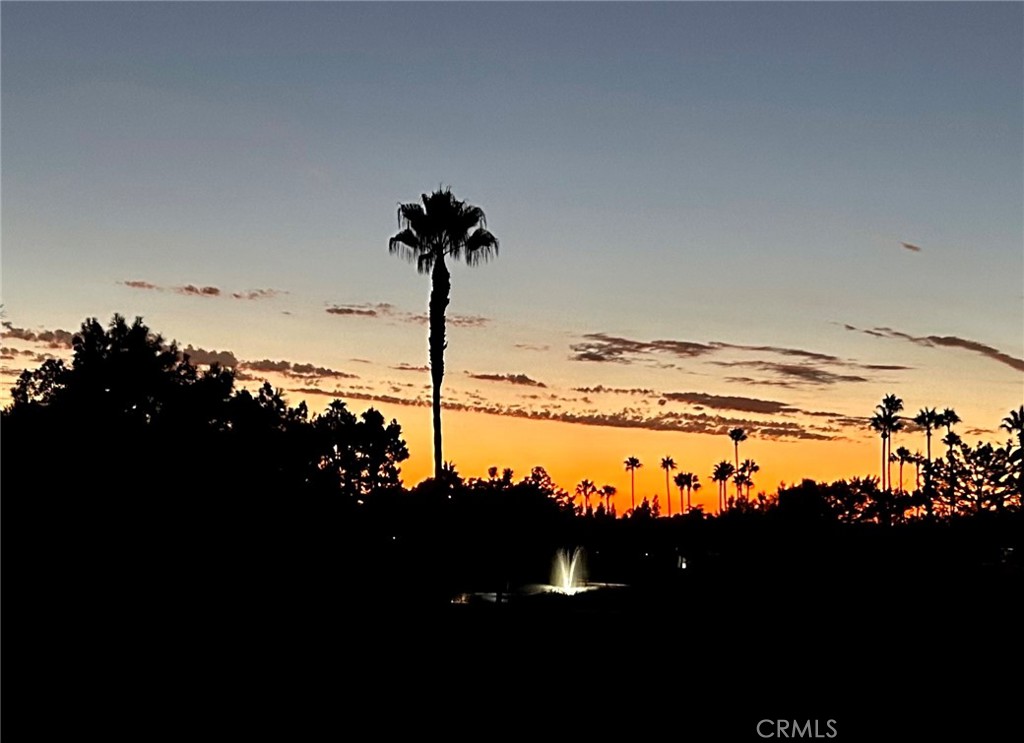 2811 Caponi Place Tustin, CA 92782 - Photo 16 of 50 a view of a lake