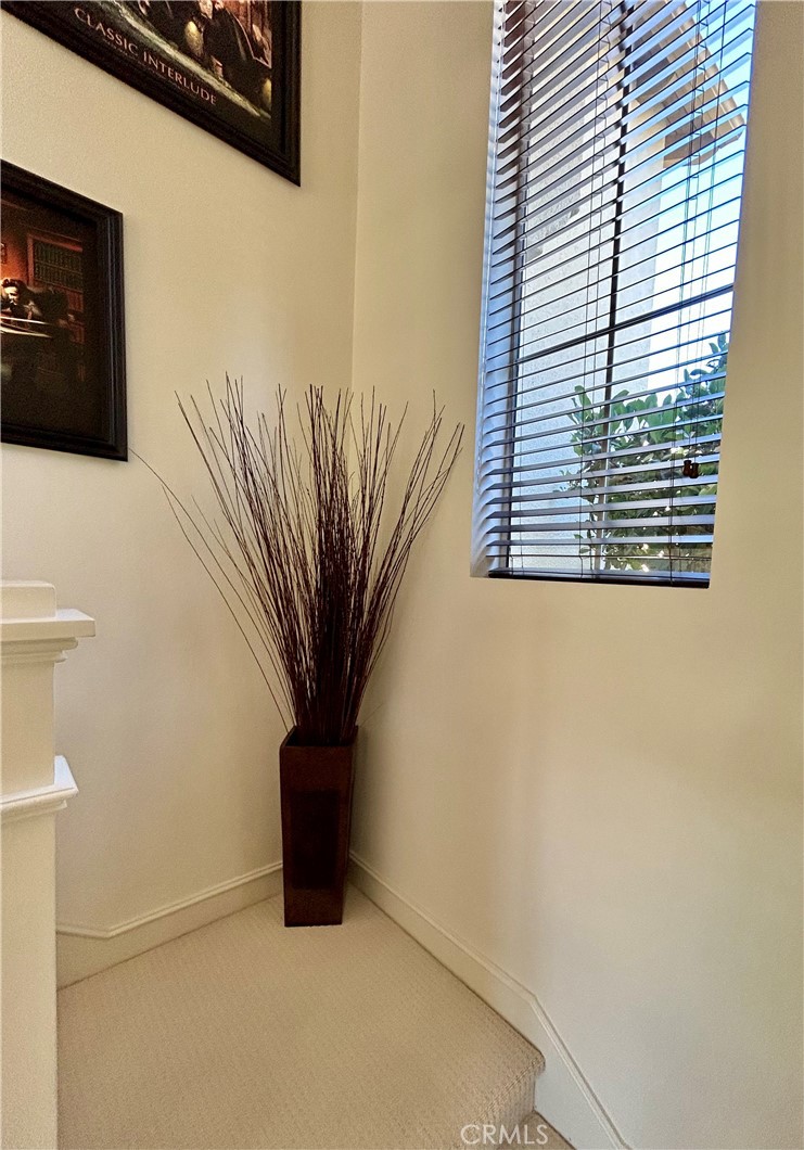 2811 Caponi Place Tustin, CA 92782 - Photo 17 of 50 a view of a potted plant in a bathroom
