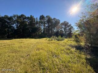 5301 Wade Vancleave Road Vancleave, MS 39565 - Photo 12 of 28 thumbnail_IMG_8877