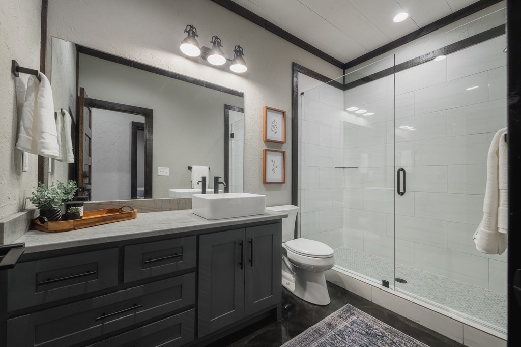 741 Price Road Blue Ridge, GA 30513 - Photo 40 of 58 a bathroom with a double vanity sink toilet and shower