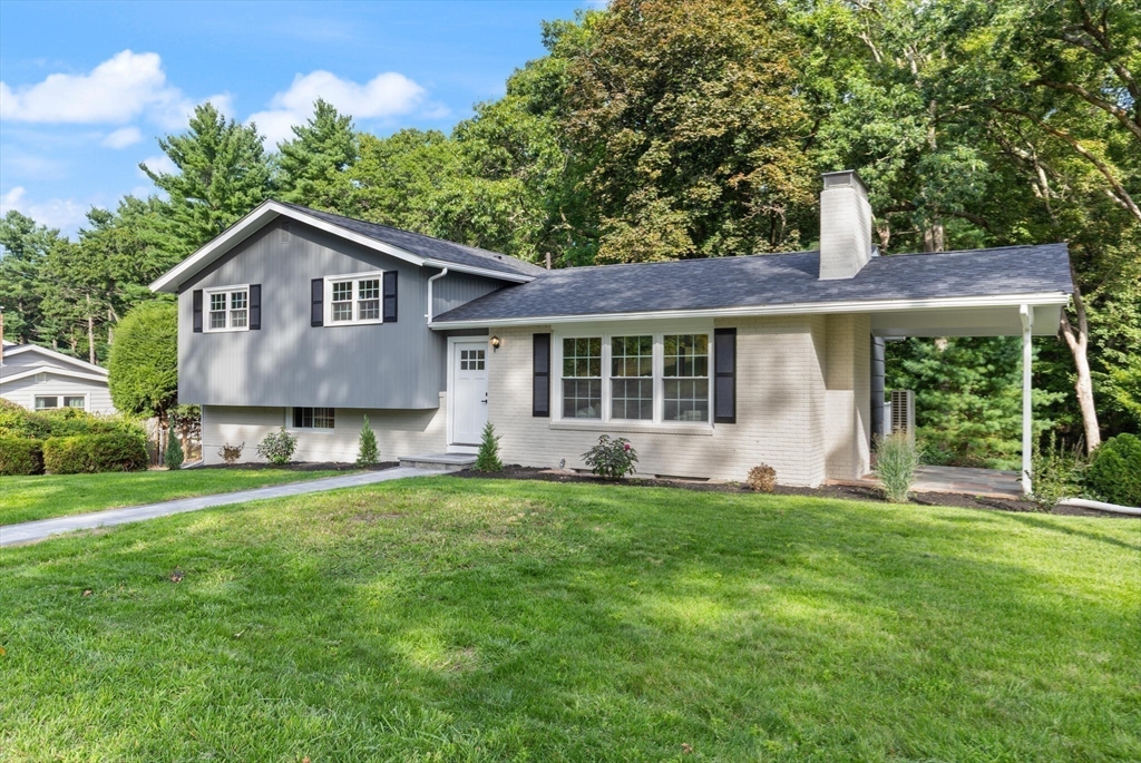 77 Morton Street Canton, MA 02021 - Photo 26 of 28 a front view of a house with a yard and trees