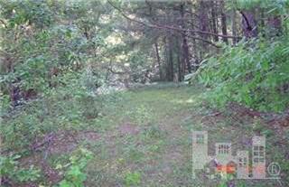 0 Herrings Chapel Road Rocky Point, NC 28457 - Photo 1 of 4 Primary Photo