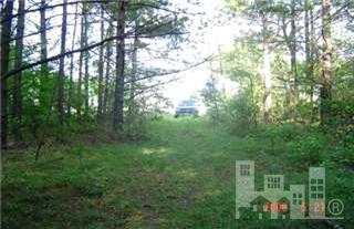 0 Herrings Chapel Road Rocky Point, NC 28457 - Photo 2 of 4 Additional Photo