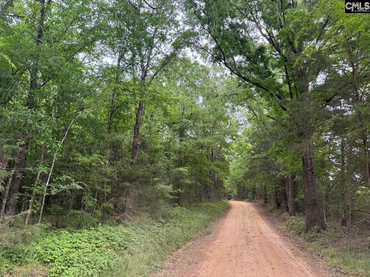 0 Sumpter Road Johnston, SC 29832 - Photo 6 of 8