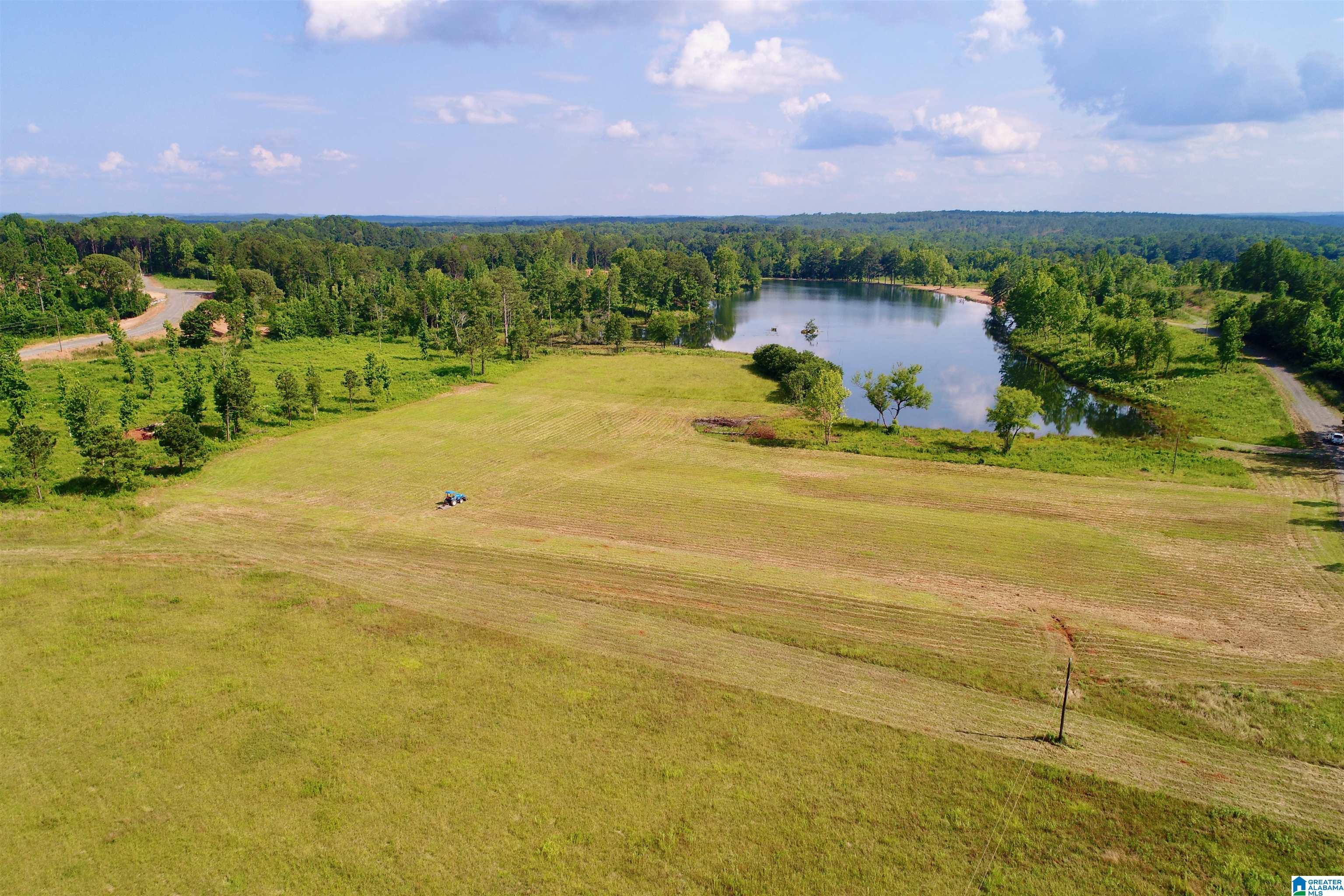 0 Burton Road, Unit 16 Shelby, AL 35143 - Photo 2 of 16