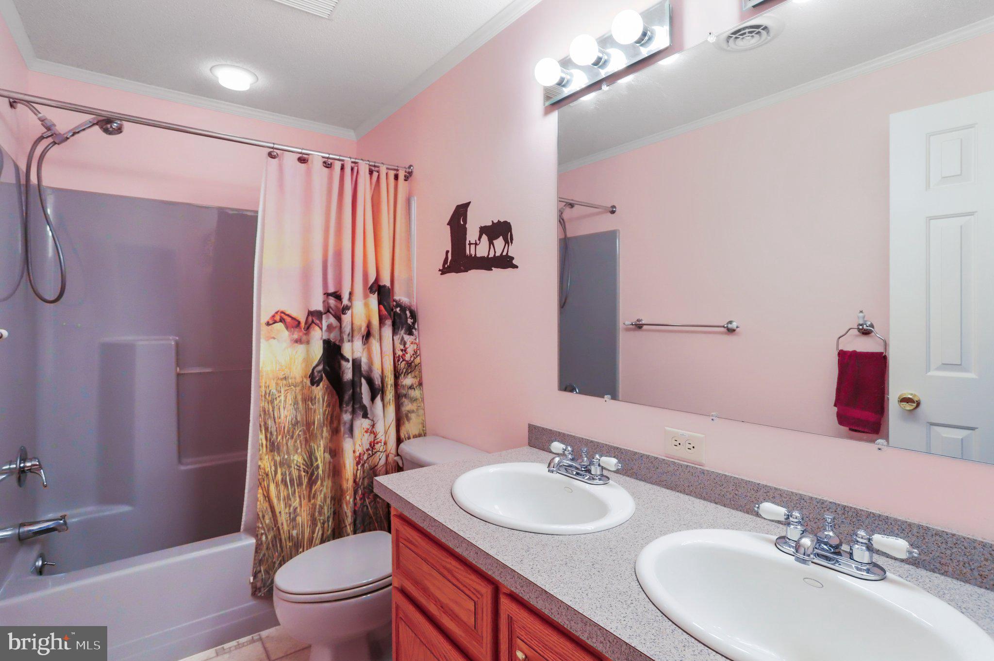 8011 Hollow Road Middletown, MD 21769 - Photo 51 of 104 Full bathroom with double sinks and tub/shower.