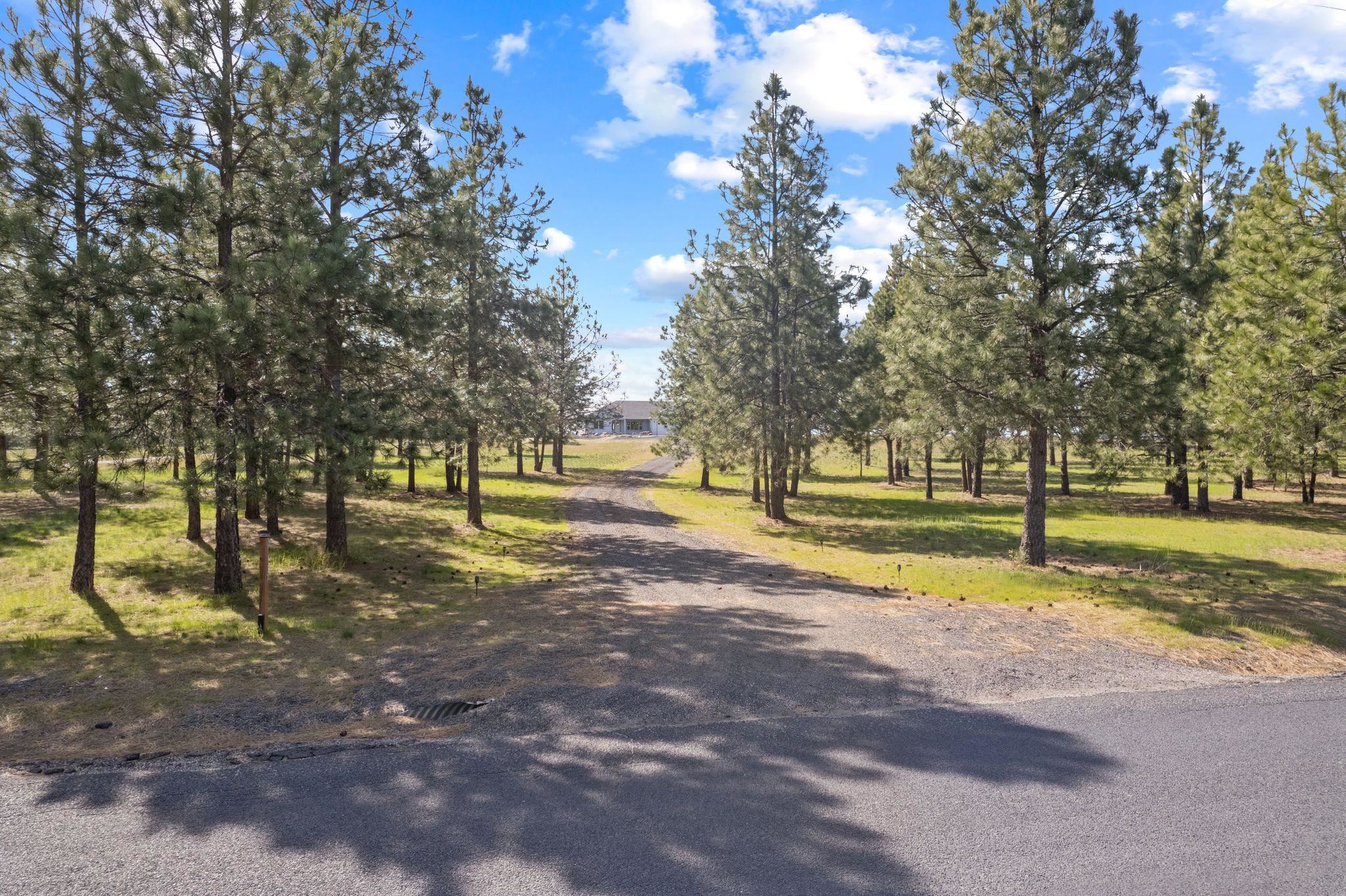 27907 North Bruce Road Chattaroy, WA 99003 - Photo 39 of 49