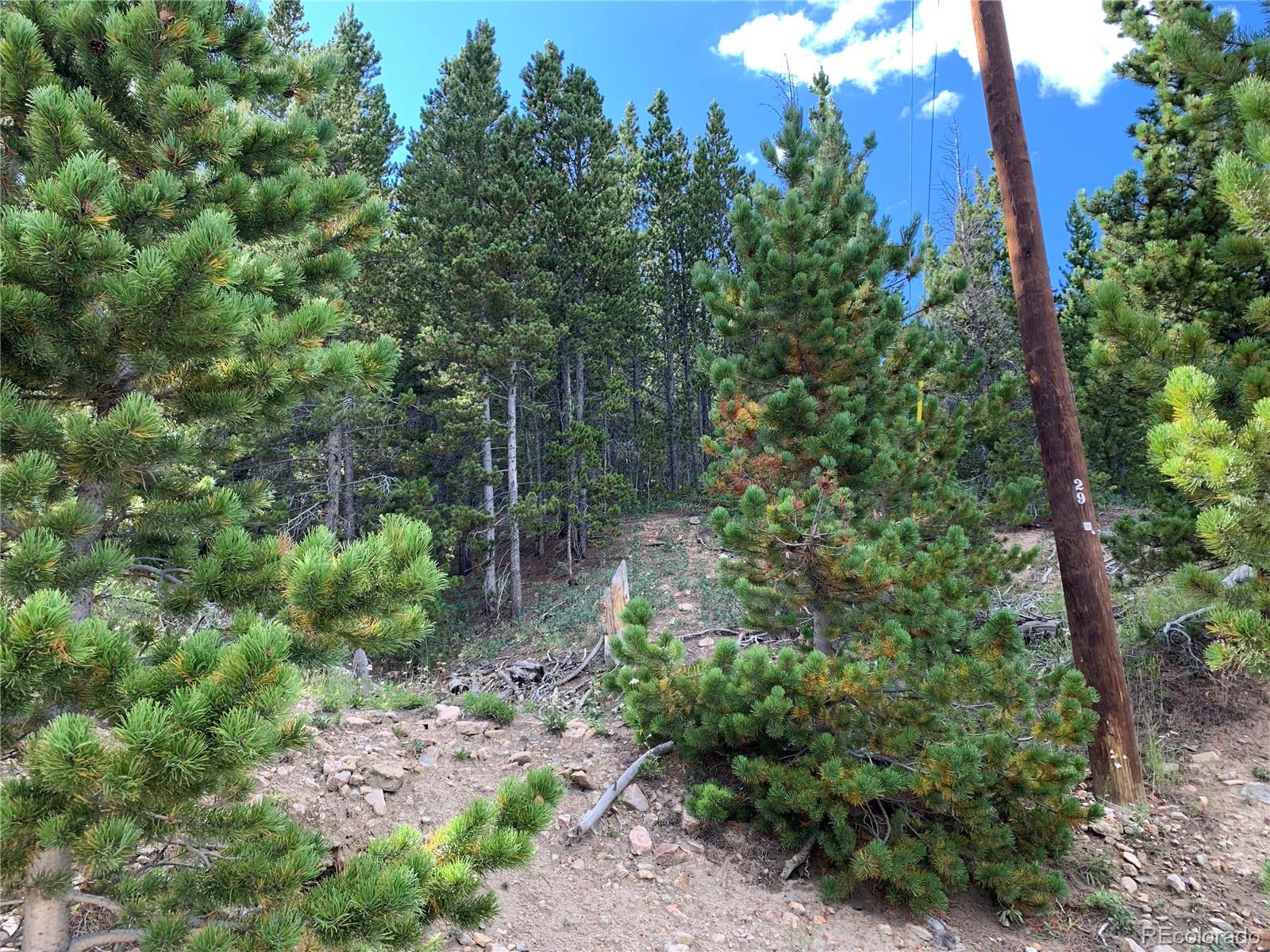 750 Alice Road Idaho Springs, CO 80452 - Photo 3 of 10 Gallery Image 3