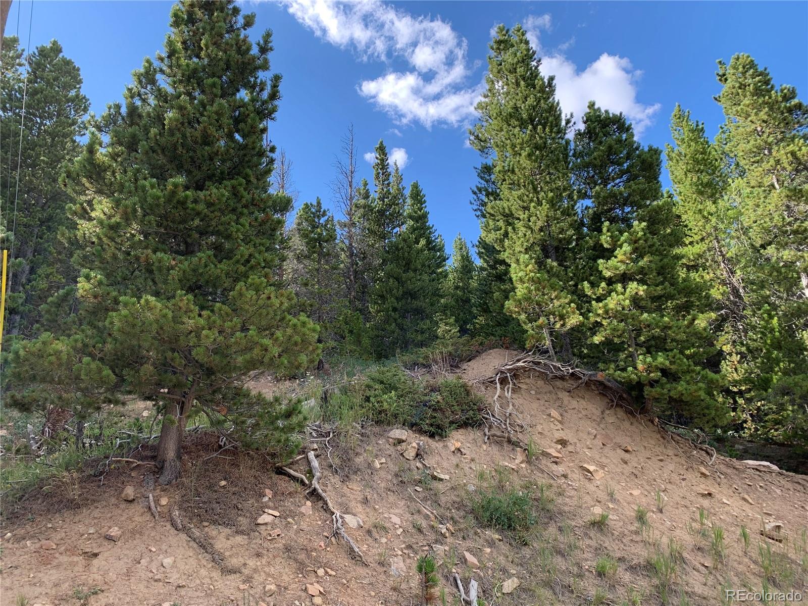 750 Alice Road Idaho Springs, CO 80452 - Photo 5 of 10 Gallery Image 5