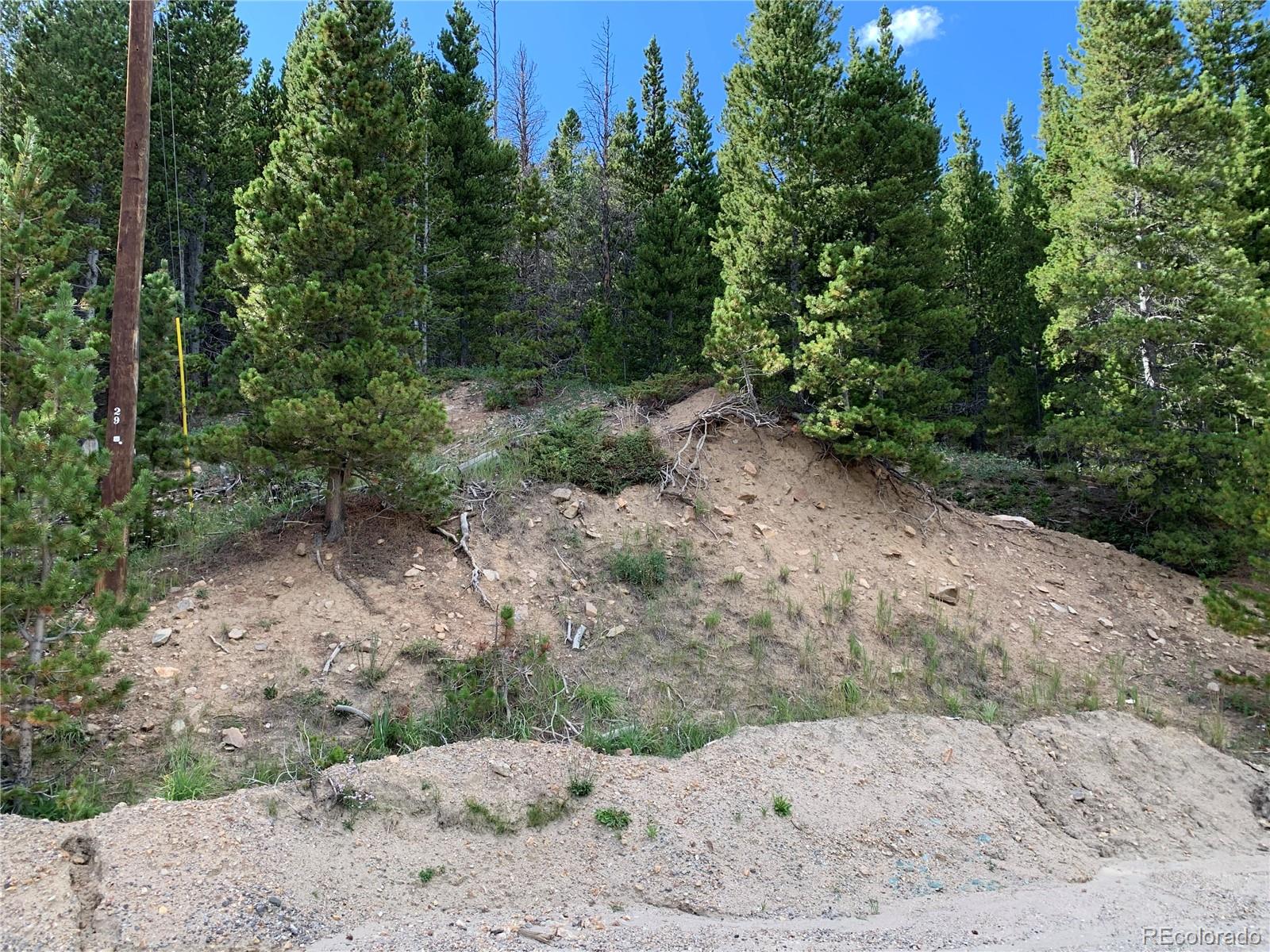 750 Alice Road Idaho Springs, CO 80452 - Photo 6 of 10 Gallery Image 6
