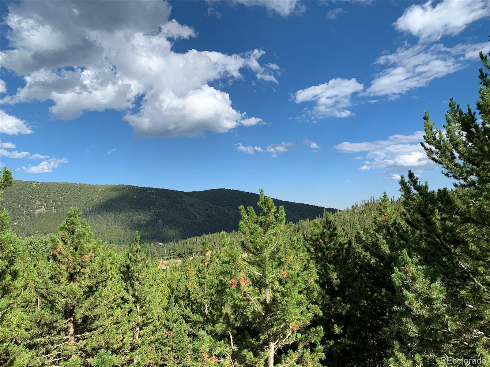 750 Alice Road Idaho Springs, CO 80452 - Photo 7 of 10 Gallery Image 7