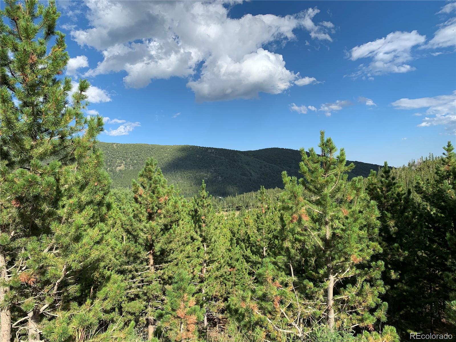 750 Alice Road Idaho Springs, CO 80452 - Photo 8 of 10 Gallery Image 8