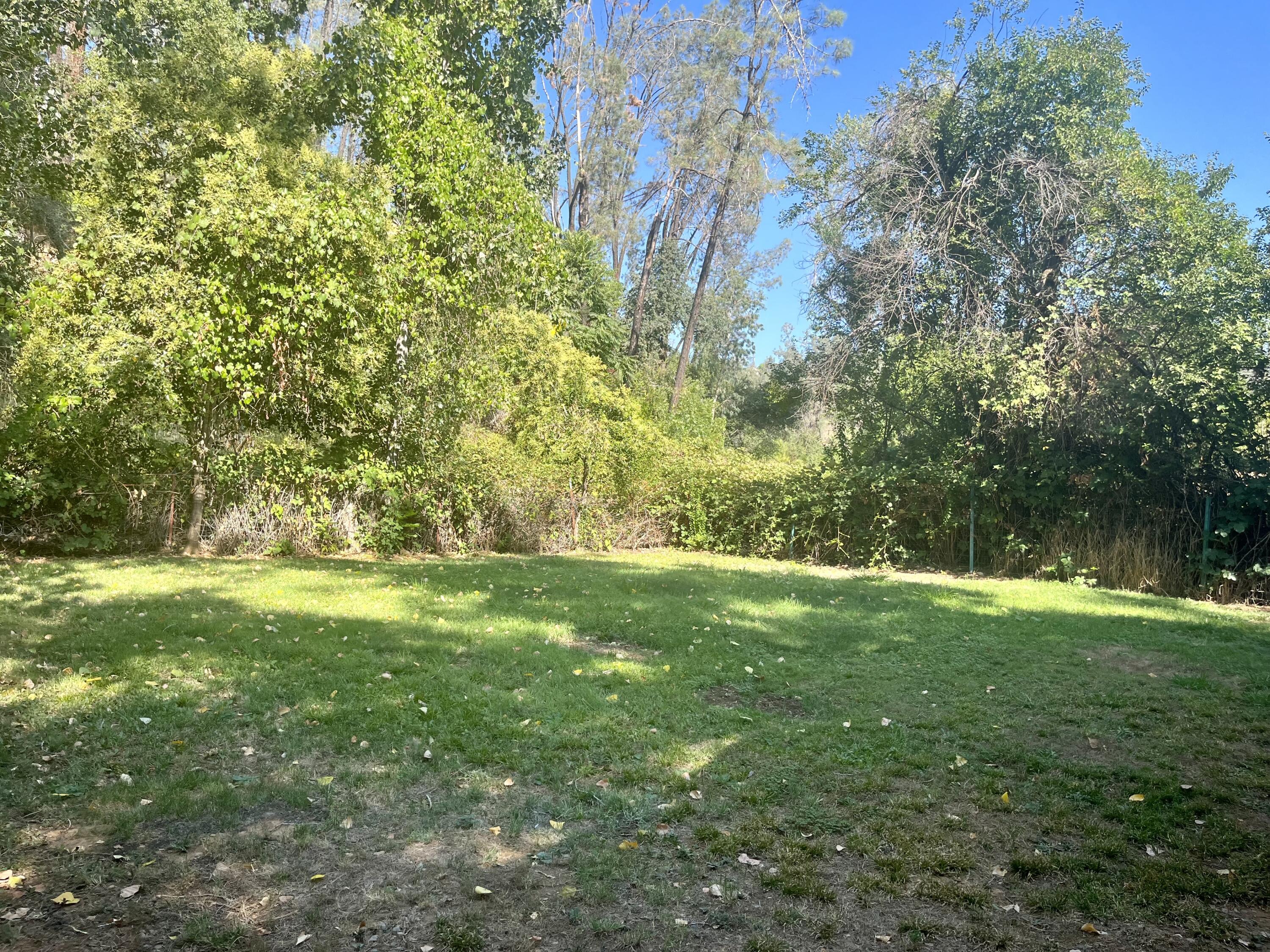 4980-4990 Cedars Road Redding, CA 96001 - Photo 20 of 67 a view of field with trees in the background