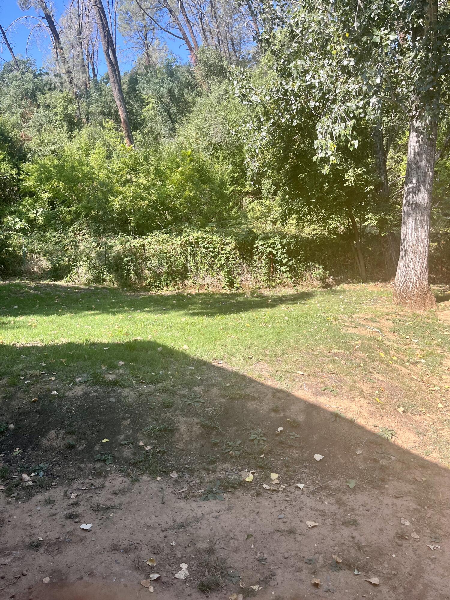 4980-4990 Cedars Road Redding, CA 96001 - Photo 42 of 67 a view of a yard with an trees