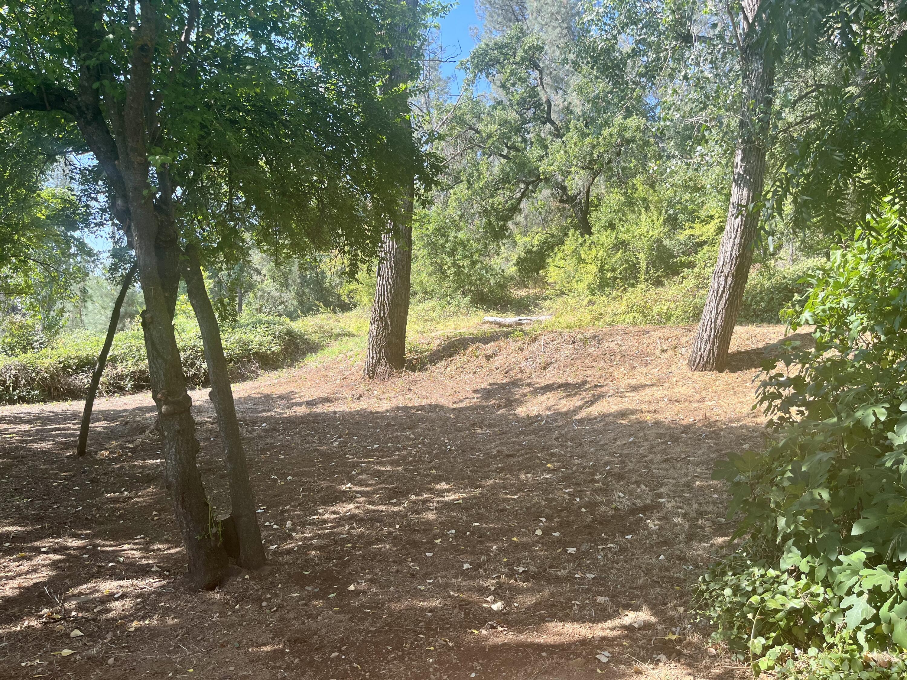 4980-4990 Cedars Road Redding, CA 96001 - Photo 49 of 67 a view of a yard with trees