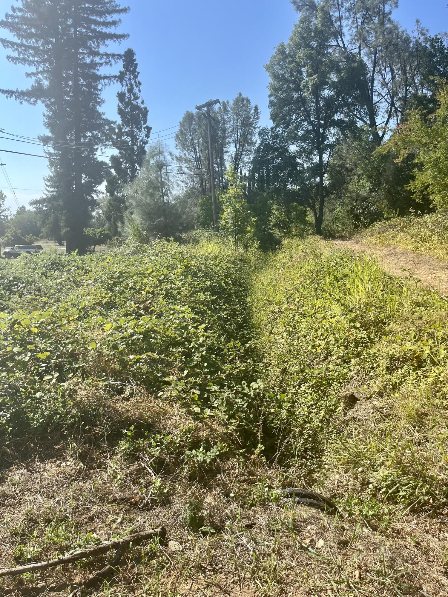 4980-4990 Cedars Road Redding, CA 96001 - Photo 52 of 67 IMG_2315