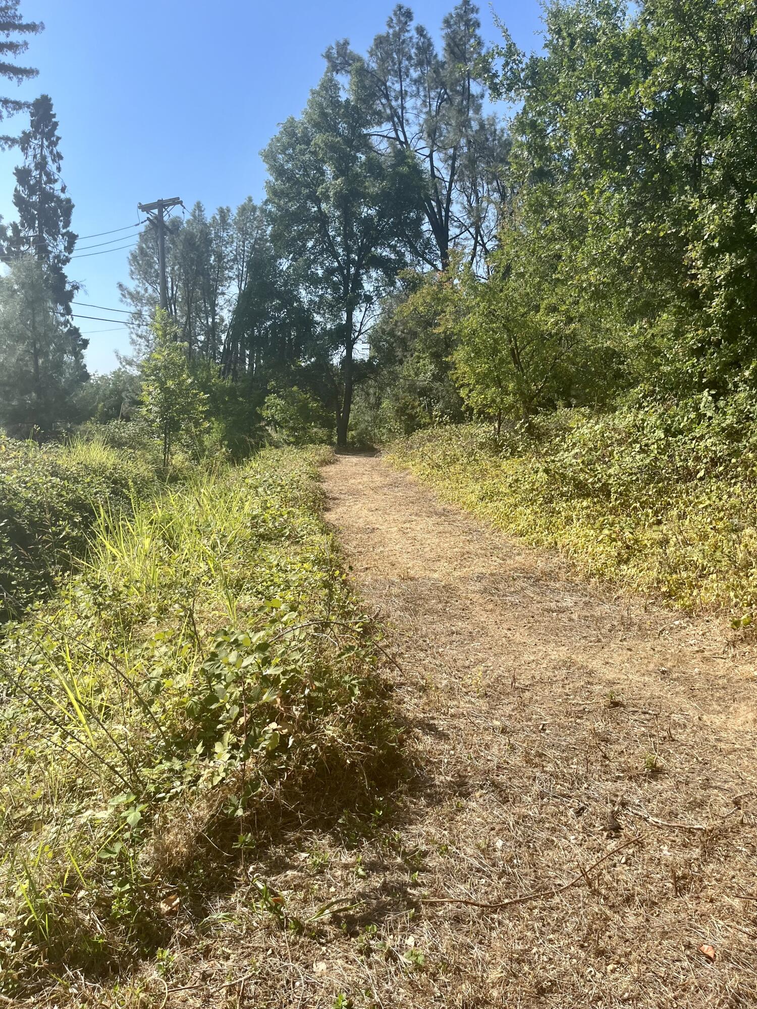 4980-4990 Cedars Road Redding, CA 96001 - Photo 53 of 67 IMG_2316