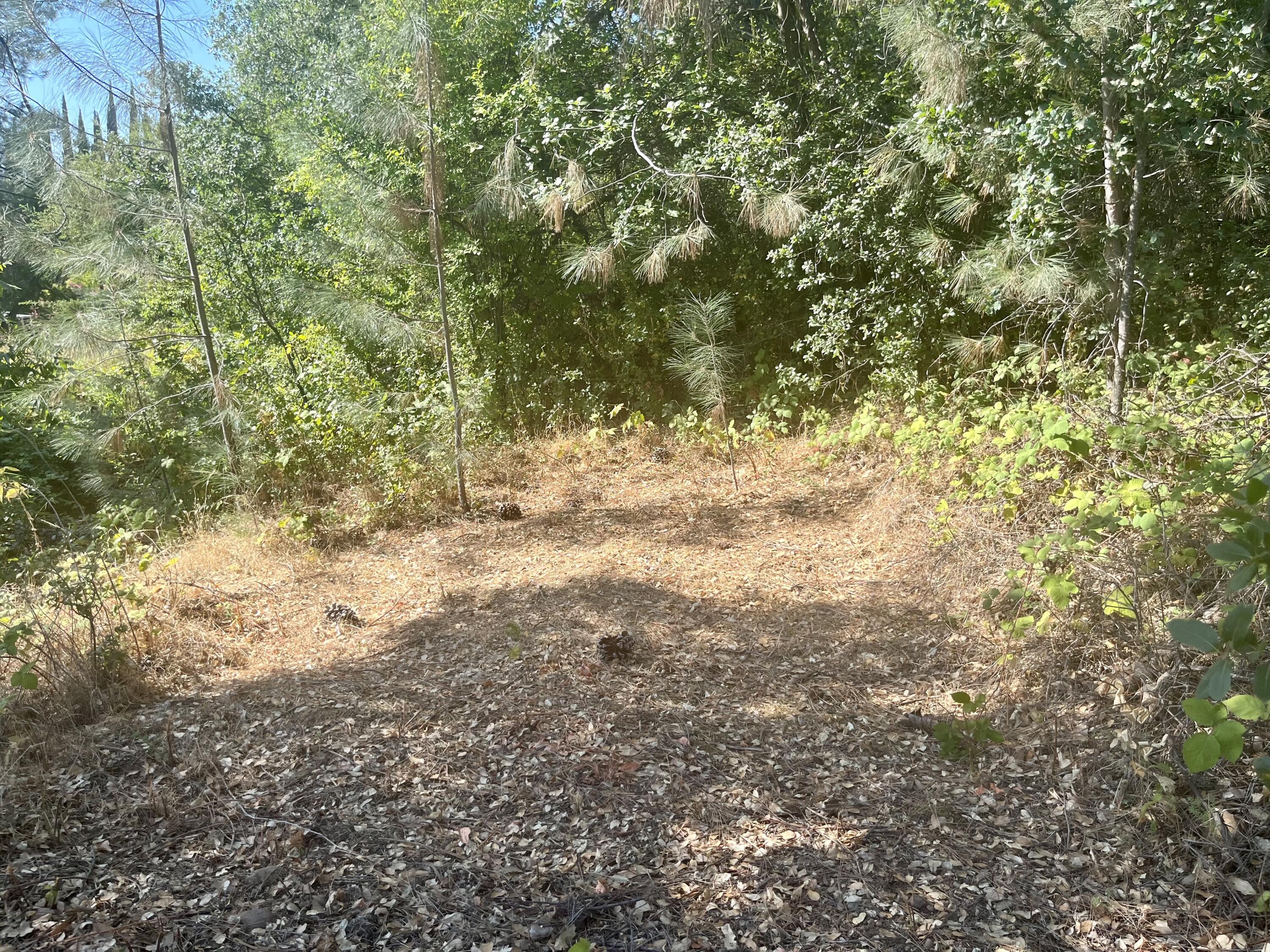 4980-4990 Cedars Road Redding, CA 96001 - Photo 56 of 67 IMG_2319