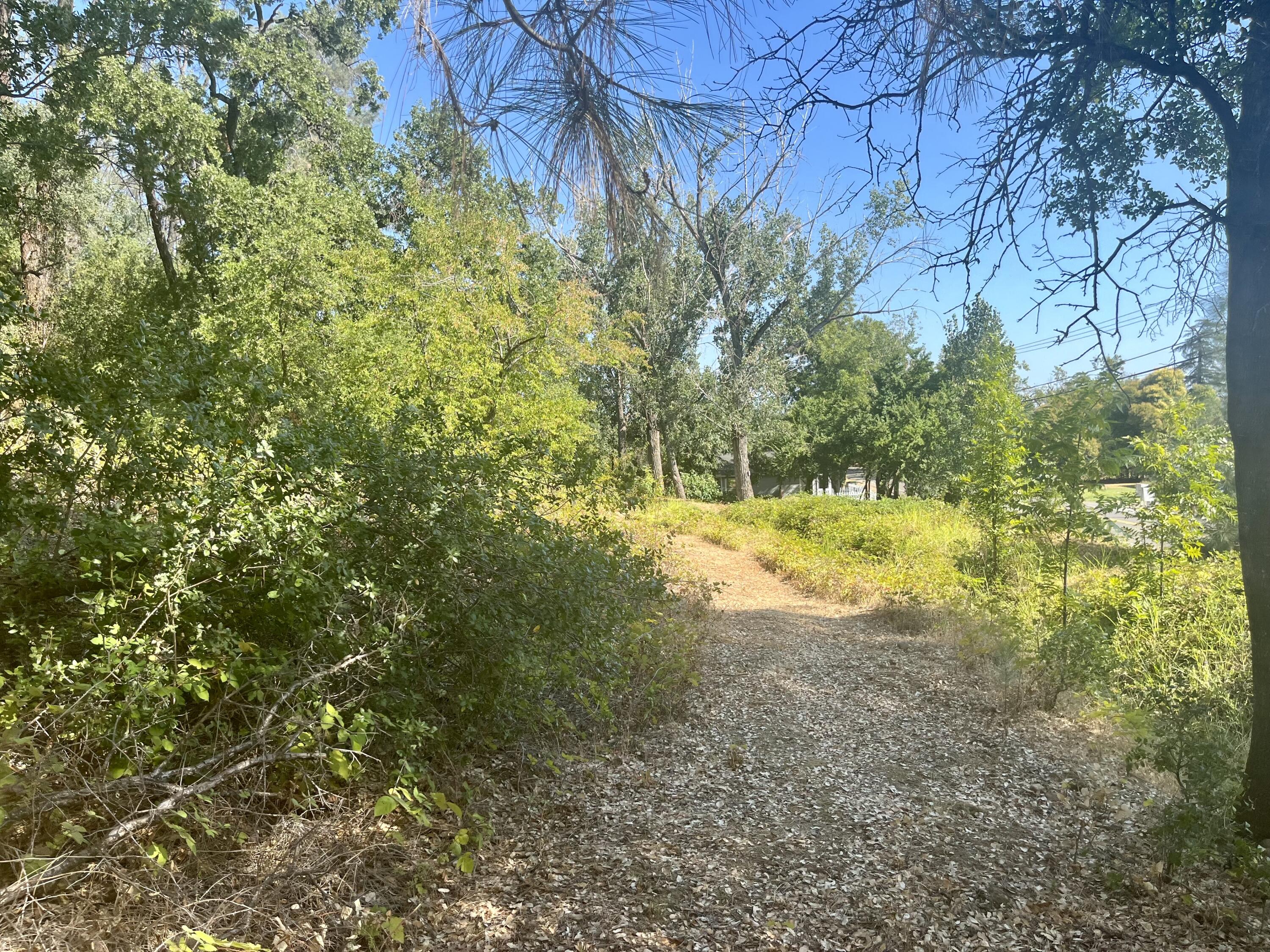 4980-4990 Cedars Road Redding, CA 96001 - Photo 60 of 67 IMG_2323