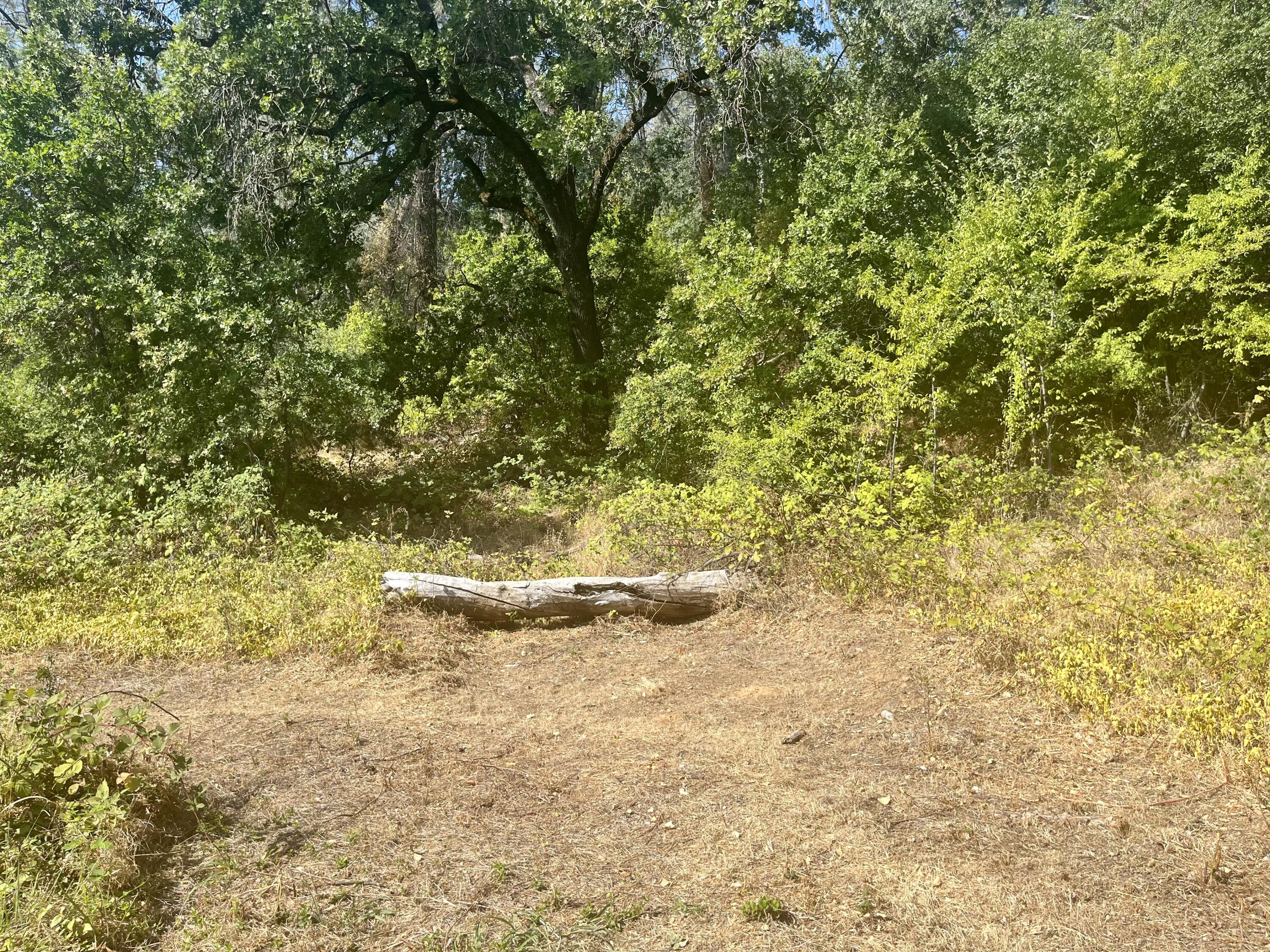 4980-4990 Cedars Road Redding, CA 96001 - Photo 65 of 67 IMG_2328