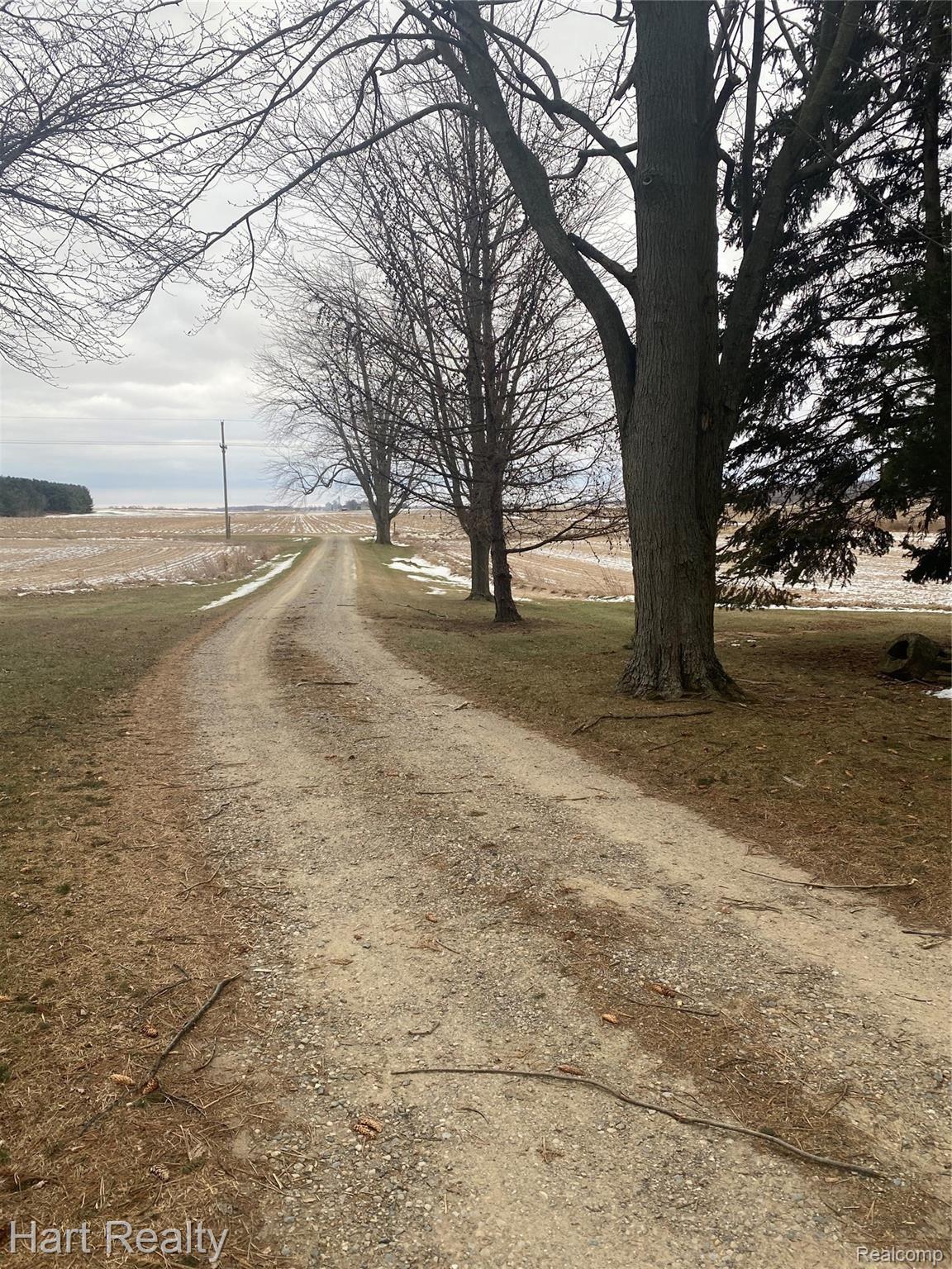 5680 Walker Road Marlette, MI 48453 - Photo 5 of 29 Beautiful winding driveway